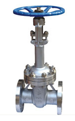 DZ41Y美标低温闸阀