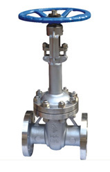 DZ41Y美标低温闸阀